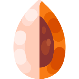 mamey Icône