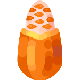 Cacao icon