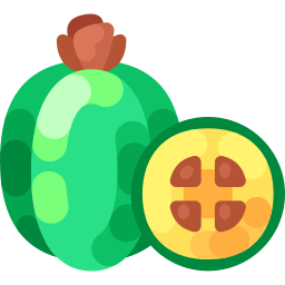 feijoa icono