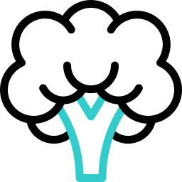 Broccoli icon