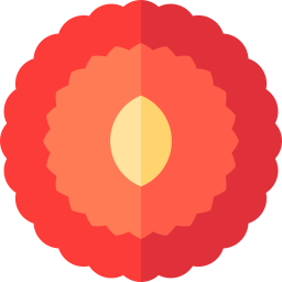Chinese bayberry icon