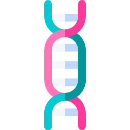 adn иконка