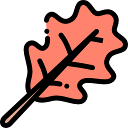 Leaf icon