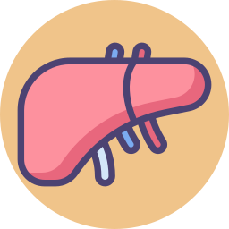 Liver icon