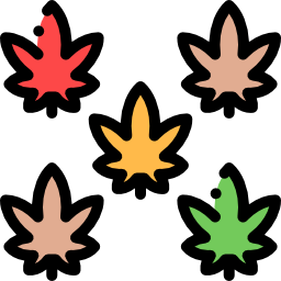 Leaves icon