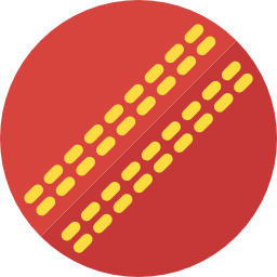 Cricket ball icon