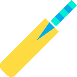 cricket bat icoon