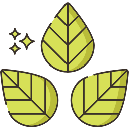 eukaliptus ikona