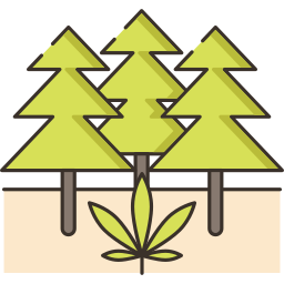 Trees icon