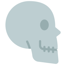 crâne Icône