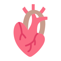 cuore icona