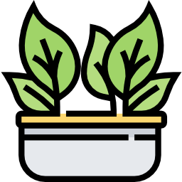 Kale icon