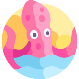 Kraken icon