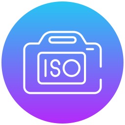 Iso icon