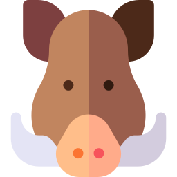 Wild pig icon