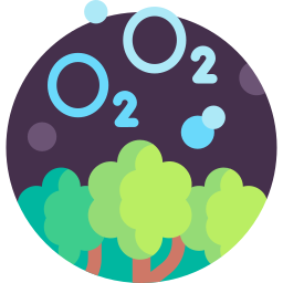 Oxygen icon