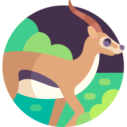 antilope icon
