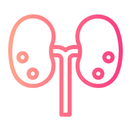 腎臓結石 icon
