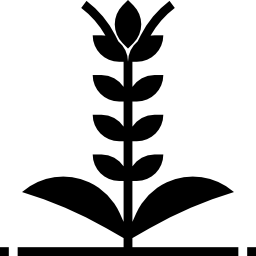 オオムギ icon