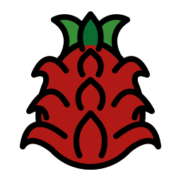 fruta do dragão Ícone