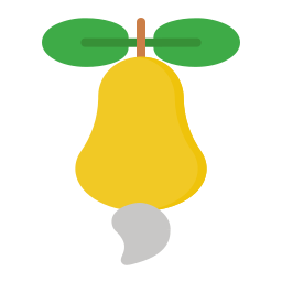 fruta de anacardo icono