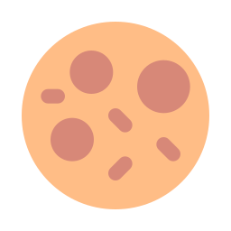 Cheese icon