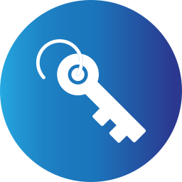 Key icon