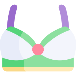 Bra icon