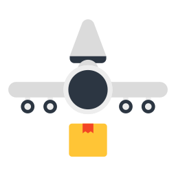 Plane delivery icon