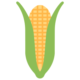 Corn icon