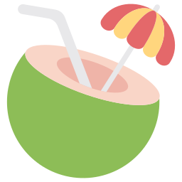 Coco drink icon