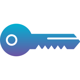 Key icon