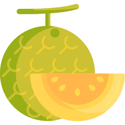 melon Icône