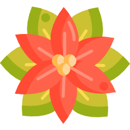 poinsettia icono