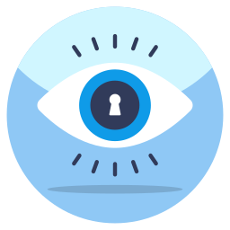 Security vision icon