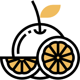 arancia icona