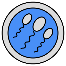 espermatozoide icono
