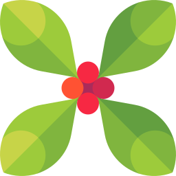 Winterberry icon