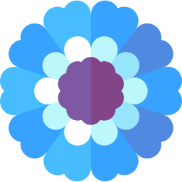 Cineraria icon