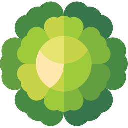 Ornamental cabbage icon