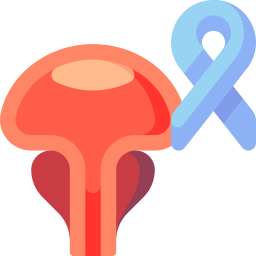 전립선암 icon