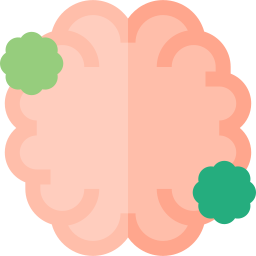 Brain icon