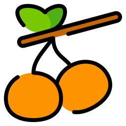 kumquat Ícone