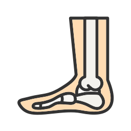 Human foot bone icon