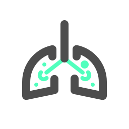 polmone icona