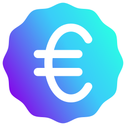 Euro symbol icon