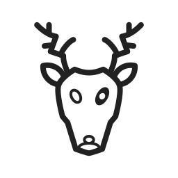 Animal icon