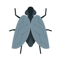 昆虫 icon