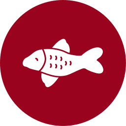 Koi fish icon