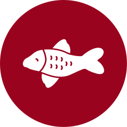 poisson koï Icône
